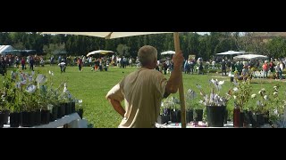 LA FÊTE DES PLANTES ET DE LA BOTANIQUE de SérignanduComtat 84 Pays de JeanHenri Fabre [upl. by Aillicsirp]