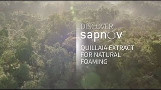 NATUREX Personal Care  discover Sapnov™ Quillaia extract for natural foaming [upl. by Kendricks547]