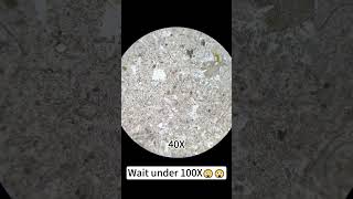 Beef bone magnified 400X is seriously awesomeunderthemicroscope science microscope [upl. by Enttirb]