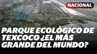 Hablemos sobre el Parque Ecológico de Texcoco  Reporte Indigo [upl. by Tnomad676]