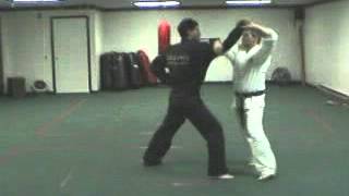 Kata Breakdown 5 Ni Sei Shi Sho  Douvris Martial Arts amp Fitness Ottawa [upl. by Margarita]