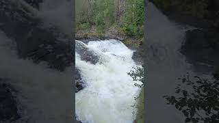 Packrafting Oulanka National Park río Kitkajoki rápido de Jyrävä [upl. by Tansey]