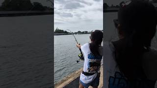 ตกปลาบึก บึงสำราญน้องปรายตกปลา ตกปลาบึก fishing บึงสำราญ แนะนำyoutube [upl. by Glennon691]