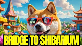 Bridge to Shiba Inus Layer 2 Shibarium  Hoichi X Roaring Kitty [upl. by Ayihsa711]