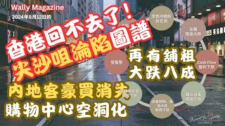 香港購物中心空洞化，回不去了！尖沙咀淪陷圖普分享，內地客豪買消失，租金頻現狂跌80！地產服減值只是開值，讓未反映！ [upl. by Leyla296]