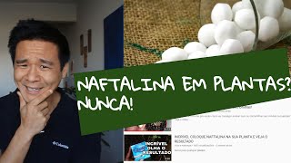 Devo usar Naftalina nas plantas JAMAIS [upl. by Constancia]