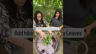 How We Make Our Curry Leaves and Hibiscus Shampoo  Amla Reetha Shikakai  shampoo haircare [upl. by Enohsal813]