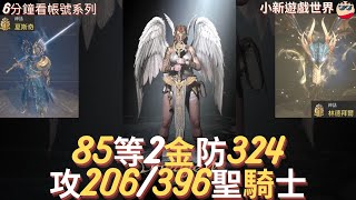 【天堂W】6分鐘看帳號系列【金色專區】 85、2金【最高攻命206386】減傷78【防324】、小小資 聖騎士 EP124 [upl. by Rehpotsirc620]