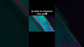 Companion nikal gya🤪bgmi pubgmobile shorts viralvideos shortsfeed funny fyp ytshorts [upl. by Eenobe]