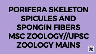 PORIFERA SKELETONSPICULESSPONGIN FIBERSMSC ZOOLOGYUPSC ZOOLOGYIFS ZOOLOGYNEP ZOOLOGY [upl. by Kassia]