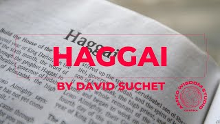 NIV Bible HAGGAI Everyday reading listening Audio Bible by David Suchet [upl. by Nirrok]