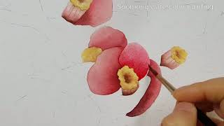 Camellia watercolor painting [upl. by Lucias630]