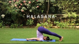 How to Halasana [upl. by Epp375]