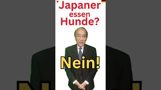 Was essen Japaner Vorurteile gegen Japans Essgewohnheiten Verwechslung mit anderen Ländern shorts [upl. by Oilalue]