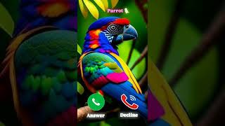 ringtone smartphone ringtones music cat applemusicringtones iphonerington marvel funny [upl. by Riesman]