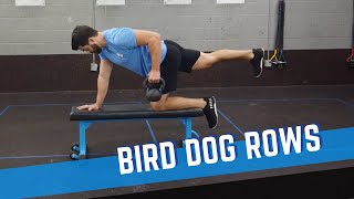 Bird Dog Rows for Core Stability [upl. by Adieren]