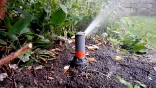 Gardena T200 Sprinkler in Funktion  mit Igel [upl. by Yenwat]