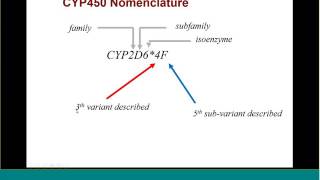 Pharmacogenetics  Victoria Pratt [upl. by Iror217]