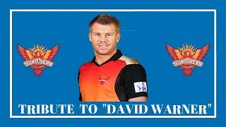 TRIBUTE TO DAVID WARNER  SRH  JONAM IAS [upl. by Adnolehs]