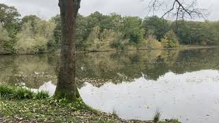 Thorndon Country Park Part 1  Brentwood 🌳 New Adventures [upl. by Akinak]