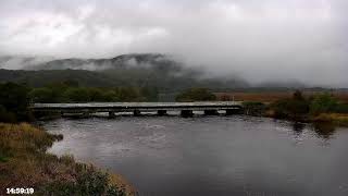 Bywyd Gwyllt Glaslyn Wildlife  Ffrwd Byw  Live Stream 2 [upl. by Jarred166]