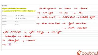 Light reaction produces assimilatory power in the form of [upl. by Rola]