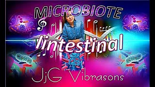 LE MICROBIOTE INTESTINAL ET TA BONNE DIGESTION [upl. by Nerej]