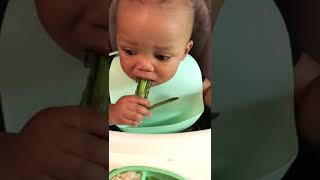 How to introduce solid foods to pandemic babies shorts trending thegodnasr trouble mom viral [upl. by Gelman]