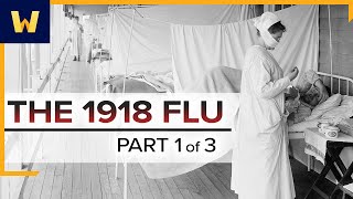 The 1918 Spanish Flu—A Conspiracy of Silence  Part 1 of 3 [upl. by Nnylirej474]