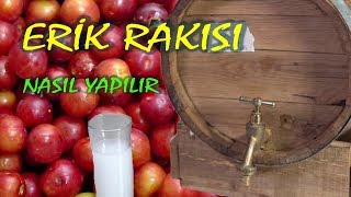 Erik Rakısı Yapımı  Erik Boğması [upl. by Refitsirhc]