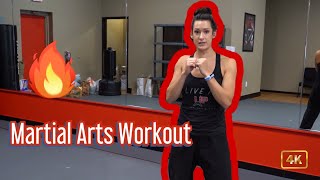 Cardio Martial Arts Workout  UpLevel Martial Arts [upl. by Teressa]