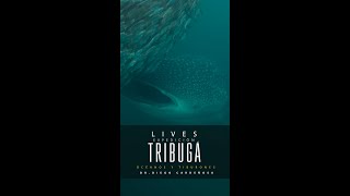 Expedición Tribugá live 2 Oceanos y tiburones [upl. by Naletak764]