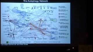 Proteomic amp Genetic Analysis of the Ubiquitin System [upl. by Anelam]