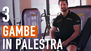 Allenamento GAMBE e COSCE per aumentare la MASSA MUSCOLARE [upl. by Wenn791]