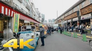 Tsukiji Fish Market Tokyo  Long Take【東京・築地市場】 4K [upl. by Presber]