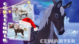 CODZIENNIK  ŚWIĄTECZNE KONIE I ICH ZAPOWIEDŹ  STAR STABLE  CZWARTEK 211124 [upl. by Morrie]