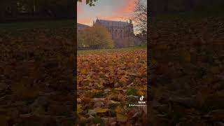 Keble College Chapel Autumn Vibes View from University Parks University of Oxford pov student phd [upl. by Nihcas531]