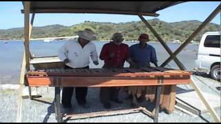 Roatan au Honduras Musicien Xylophone  Croisière caraibes [upl. by Lled]