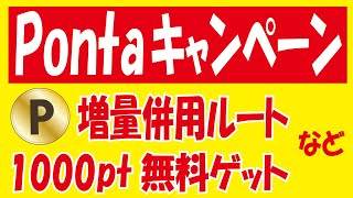 【抽選】ポンタポータル＆【11月】Pontaパス特典＆【山分け】トイザらスdポイントスタート＆【1000ptゲット】Pontaポイント交換増量キャンペーン [upl. by Surazal599]