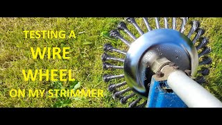 Wire strimmer wheel [upl. by Cavan]