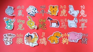 学中文动物十二生肖  Learn The 12 Animals Of Chinese Zodiac  Aprender Los 12 Animales del Zodiaco Chino [upl. by Ardnasxela925]