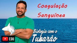 Coagulação sanguínea  Sangue  Biologia com o Tubarão [upl. by Nrubliw]