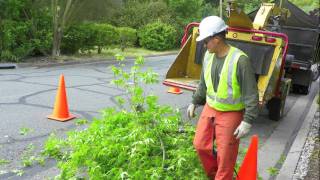 Preventing Wood Chipper Fatalities [upl. by Havot]