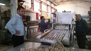 Vibrating machine for fish finger line [upl. by Mushro]