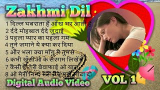 Zakhmi Dil 💝 र्दद भरे गीत  Digital Jhankar VOL 1  Kumar Sanu amp Anuradha Paudwal amp Kaveeta krishn [upl. by Adnole50]