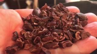 Organic Cacao  Cocoa Nibs 2 Pounds by Anthonys Batch Tested and Verified GlutenFree 32 ounces [upl. by Goldenberg]