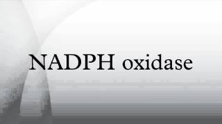 NADPH oxidase [upl. by Merill274]