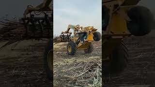 Efficient Debris Handling Loading and Unloading Wood Debris with a ThreeWheeler Machine [upl. by Everest]