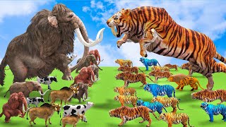 10 Giant Tiger vs 10 Woolly Mammoth Save Cow Video Buffalo Bull From Tiger Wolf Vs Mammoth Elephant [upl. by Odrude]