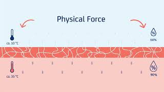 Sympatex Membrane EN [upl. by Ealasaid5]